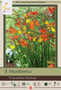 Netherland Bulb Company Crocosmia Crocosmilflora Mixture - 8 Bulbs - Montbretia - Very Hardy - Colorful