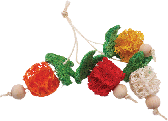 A & E Cages Loofah Bunch of Fruits Small Animal Toy (Small)