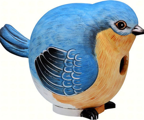 Songbird Essentials Bluebird Gord-O Bird House