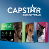 Capstar for Dogs & Cats