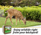 Kalmbach Backyard Buffet® Wildlife Block