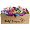 PETSPORT LUCKYS BONEYARD DISPLAY