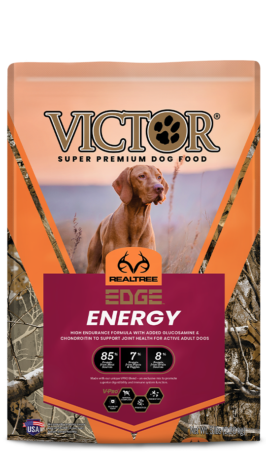 VICTOR Realtree® EDGE ENERGY for Dogs